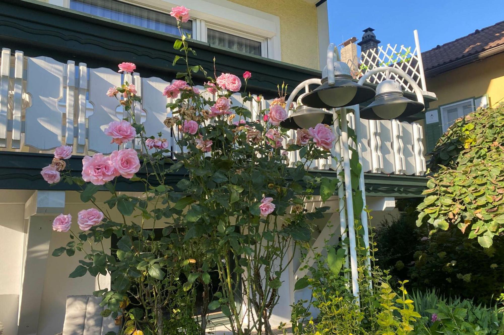Pension & Apartments Ertl Зеебоден Экстерьер фото