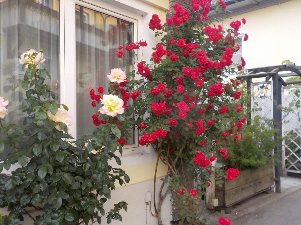 Pension & Apartments Ertl Зеебоден Экстерьер фото